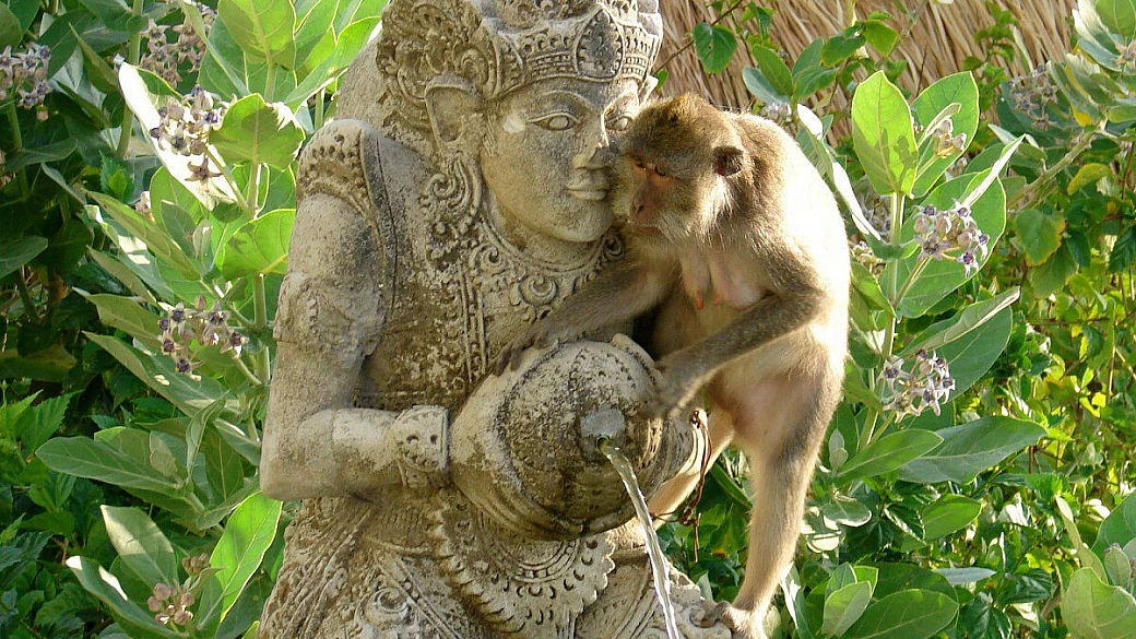 viaggio di nozze: ritorno nella mia terra