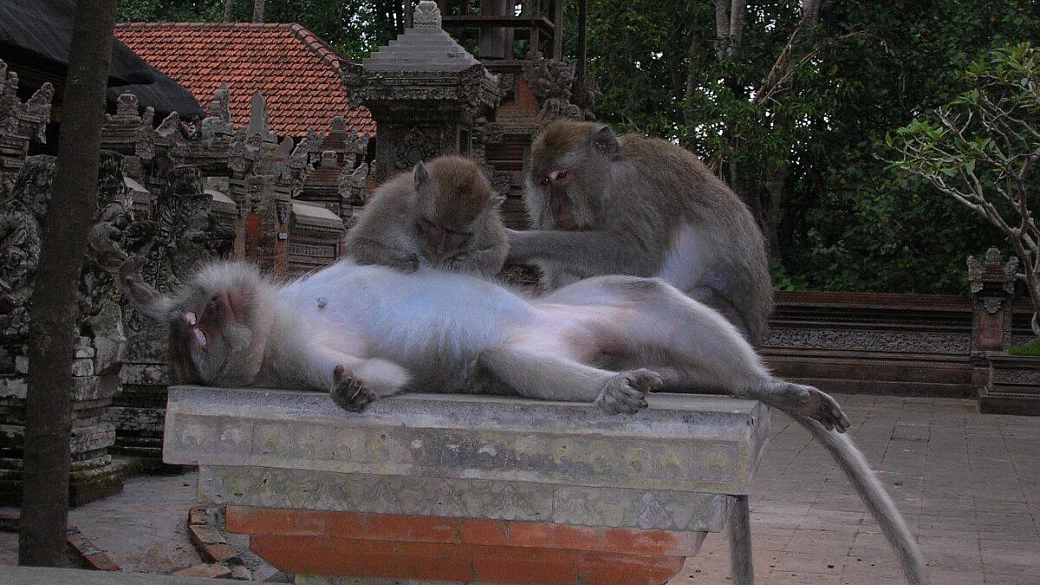 insostenibile leggerezza dell'essere viaggiatore