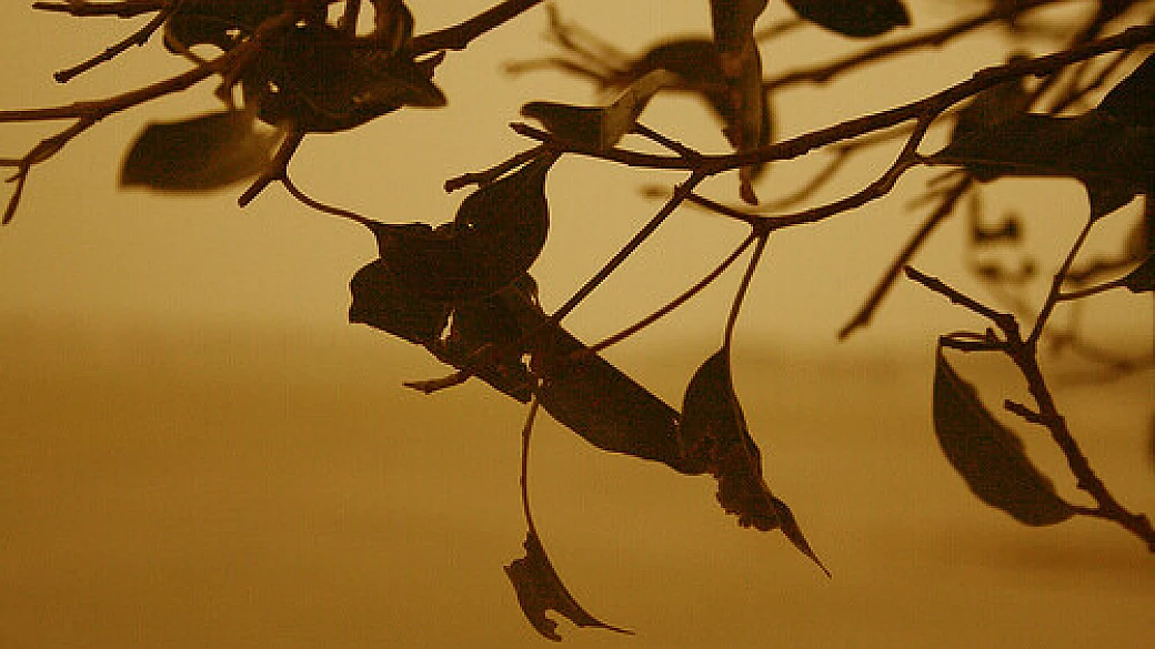 scrittori per caso: mezzanotte e cinque a bhopal