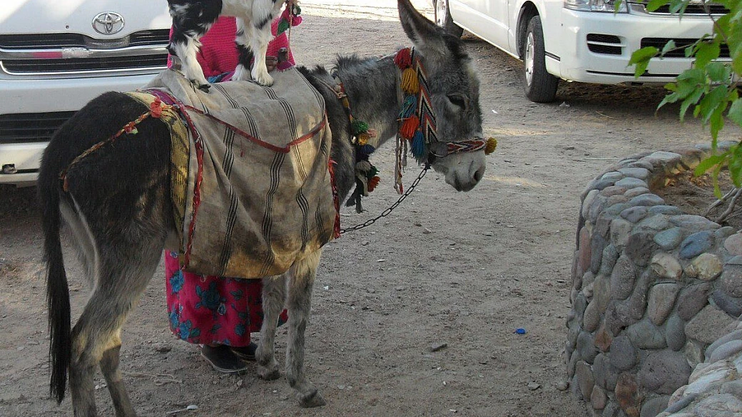 fantastica crociera sul nilo 2