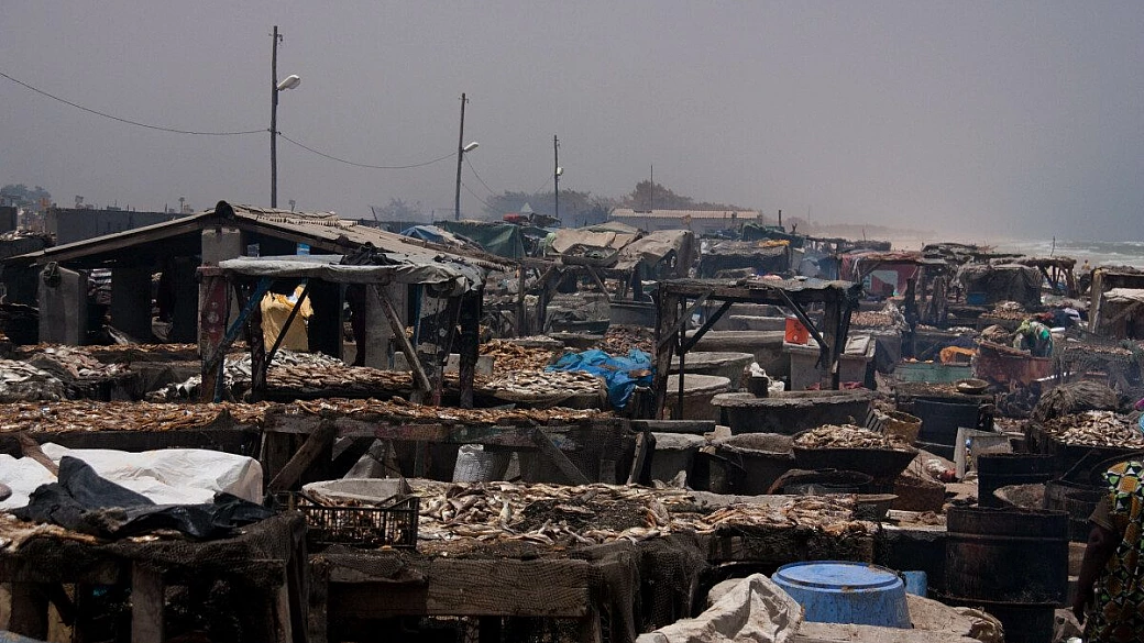 fantastico senegal fai da te
