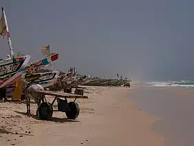 senegal-p3e6a