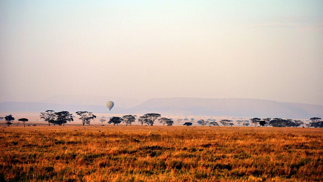 safari in tanzania 5