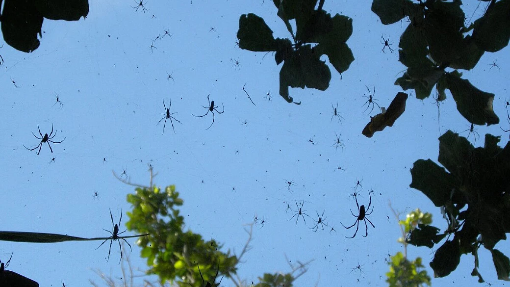 seychelles: praslin, la digue, mahè