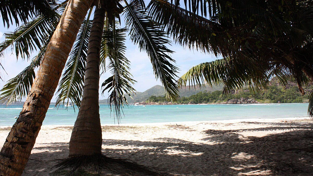 le chiamano paradise islands…