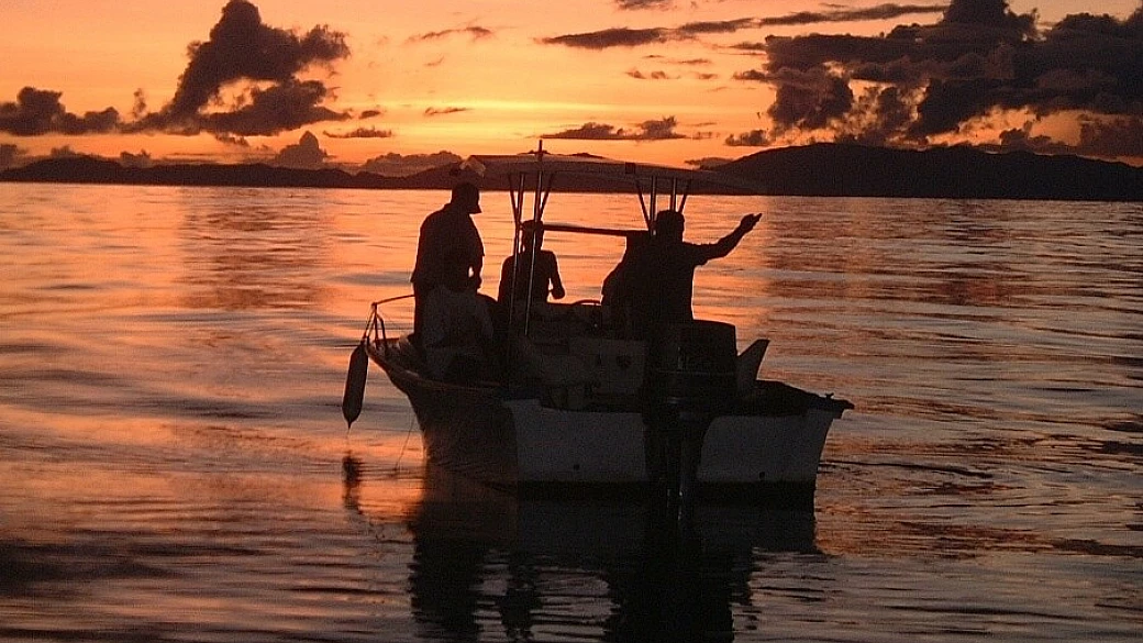 suoni, colori e profumi, alle seychelles