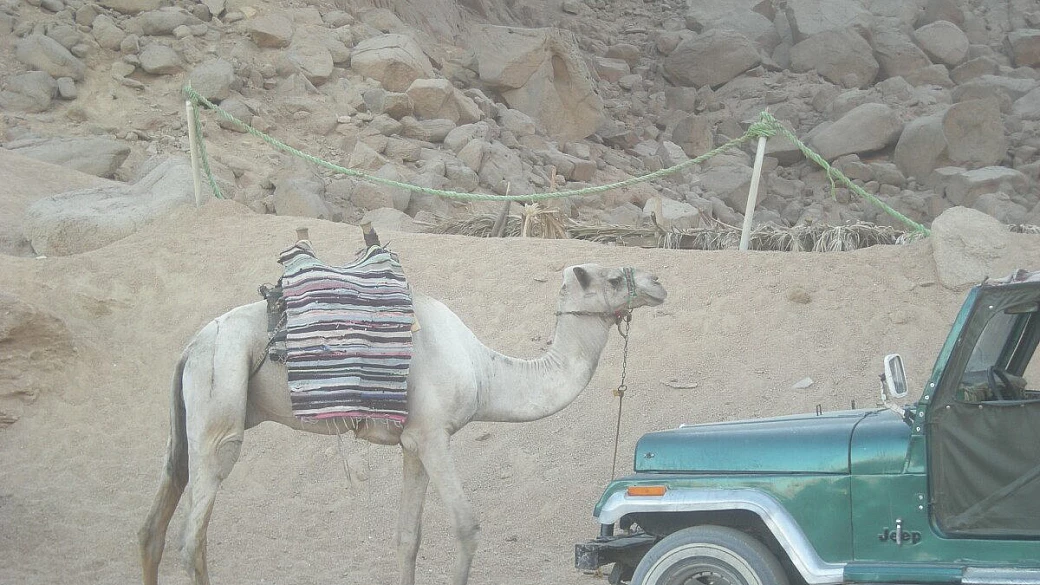 non di solo un racconto di viaggio