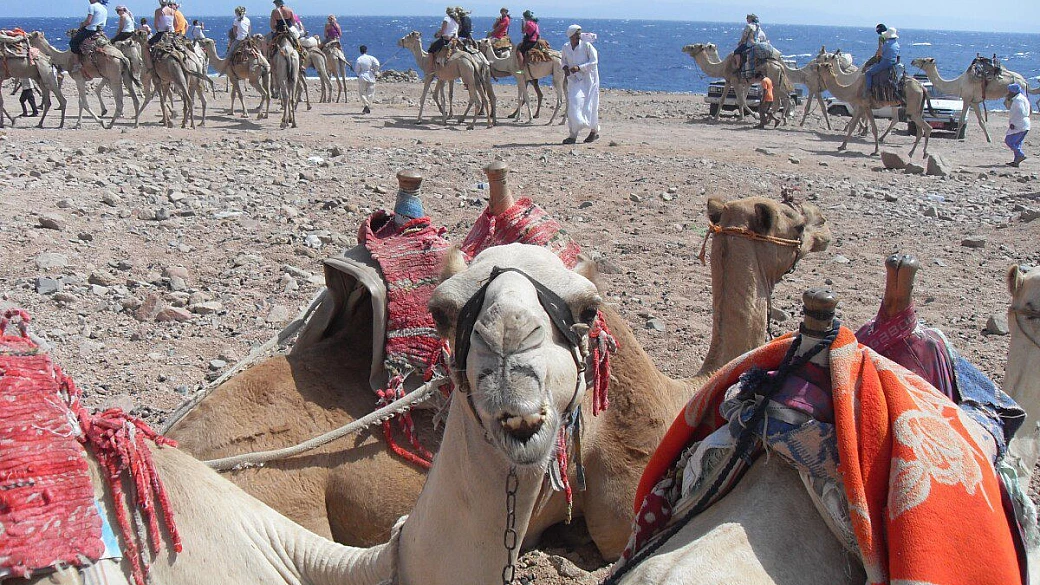 relax a sharm el sheikh