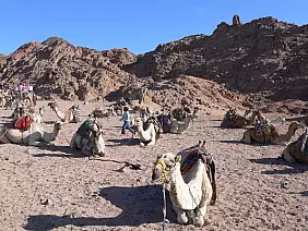 sharm-el-sheikh-wd4yp