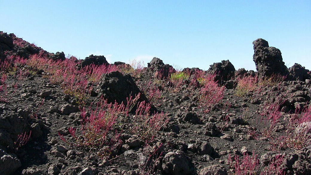 trekking 4 giorni etna fai da te eruzione luglio 2011