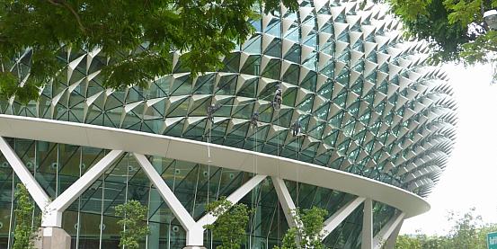 Singapore: grattacieli e foresta tropicale