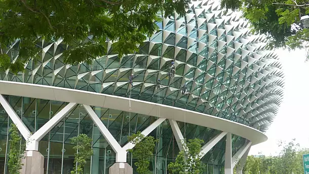 singapore: grattacieli e foresta tropicale