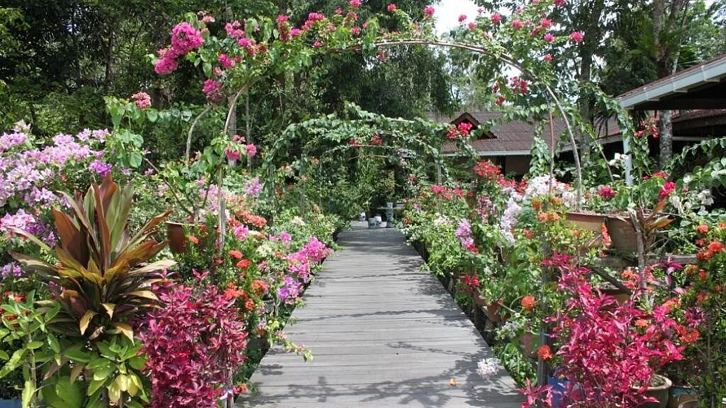 borneo sabah: tra natura, scimmie e spiagge… che meraviglia!