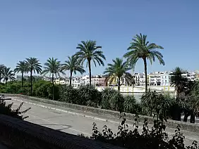 siviglia-vhjq7