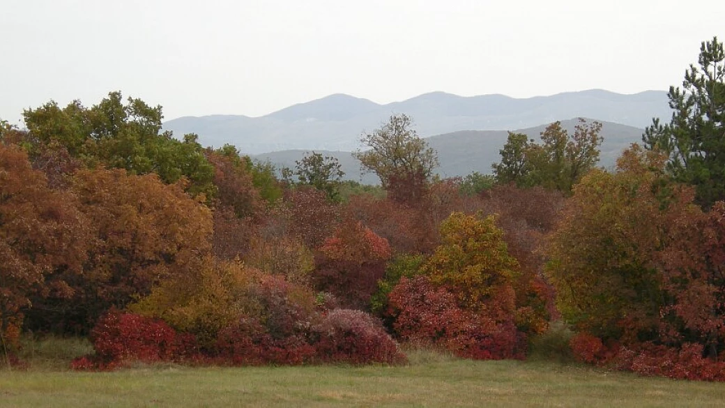 weekend: foliage, natura, enogastronomia, destinazione kras slovenia