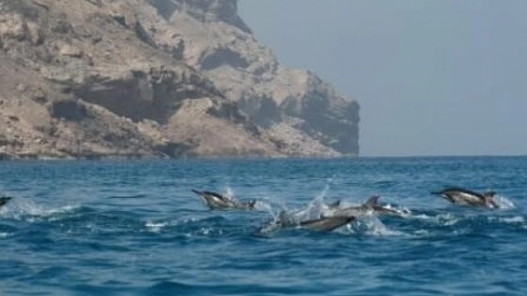 un'opera d'arte naturale: socotra