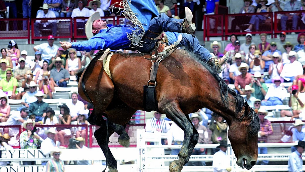 tenda e cavalli nel wild wild west