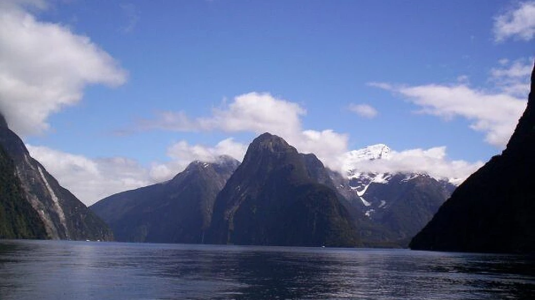 nella terra dei kiwi