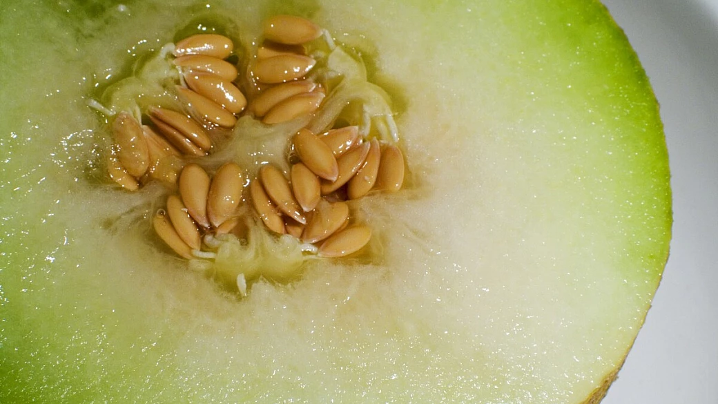 sublime zuppa tacchi lontani