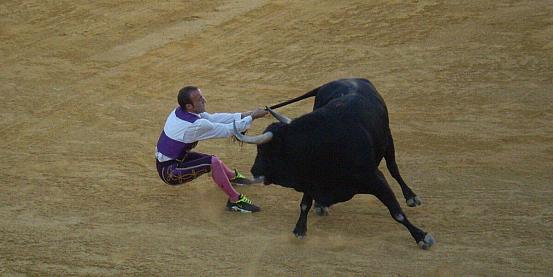 ricetta andalusa: prendete il rabo de toro...