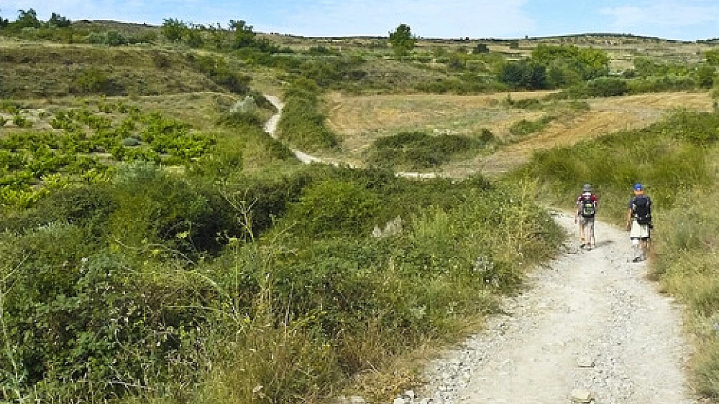 speciale cammino di santiago: cosa ci fa un ateo a compostela?