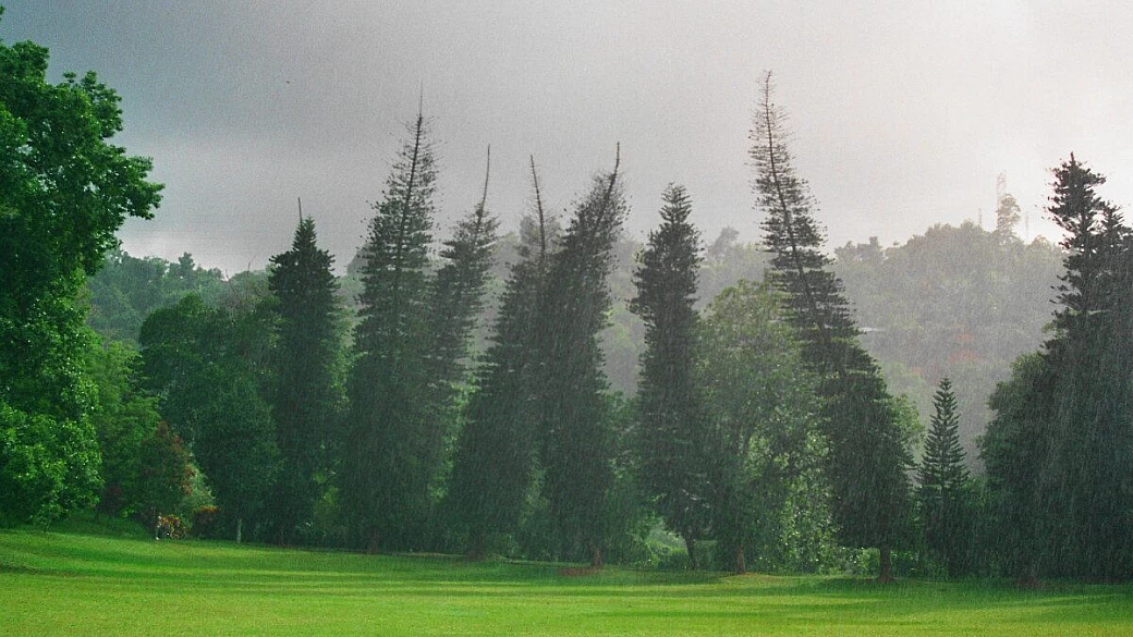 sri lanka zaino in spalla 6