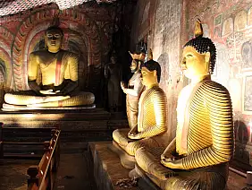 sri-lanka-mare-jawdf