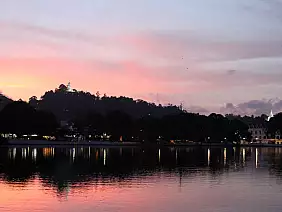 sri-lanka-mare-wwq7s