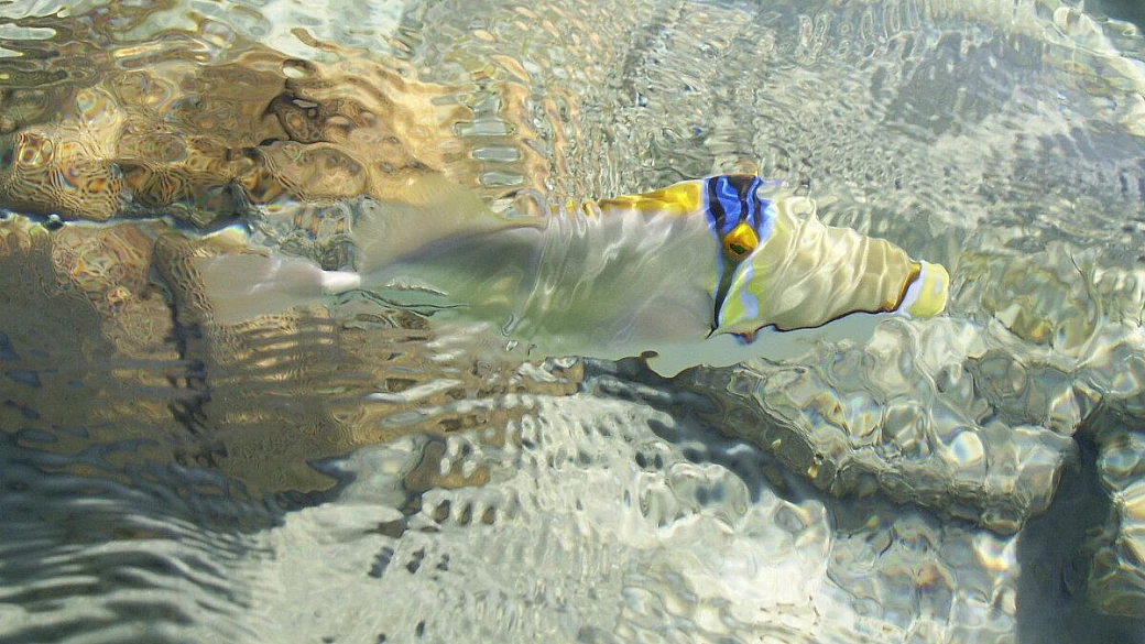 settimana stupenda sharm