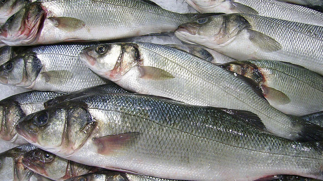 indimenticabile pasqua a parigi