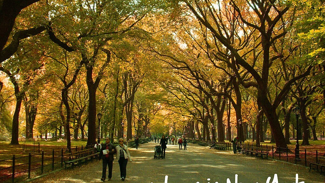 new york - new york 3