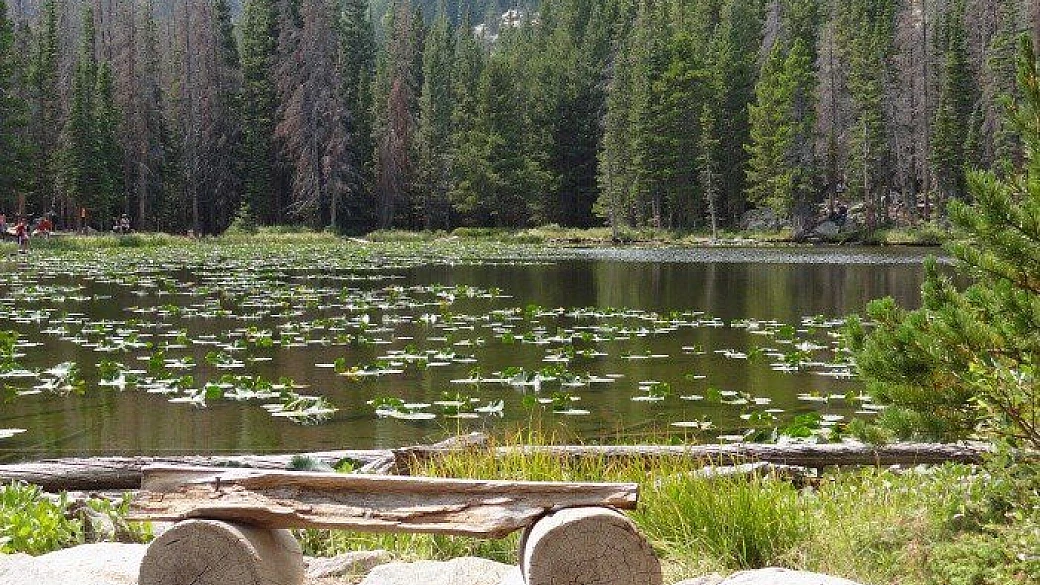 america, viaggio nel southwest... ma non solo