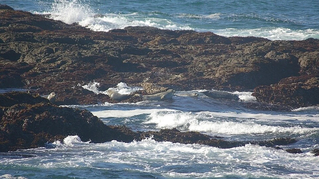 stati uniti: california settentrionale, oregon, nevada