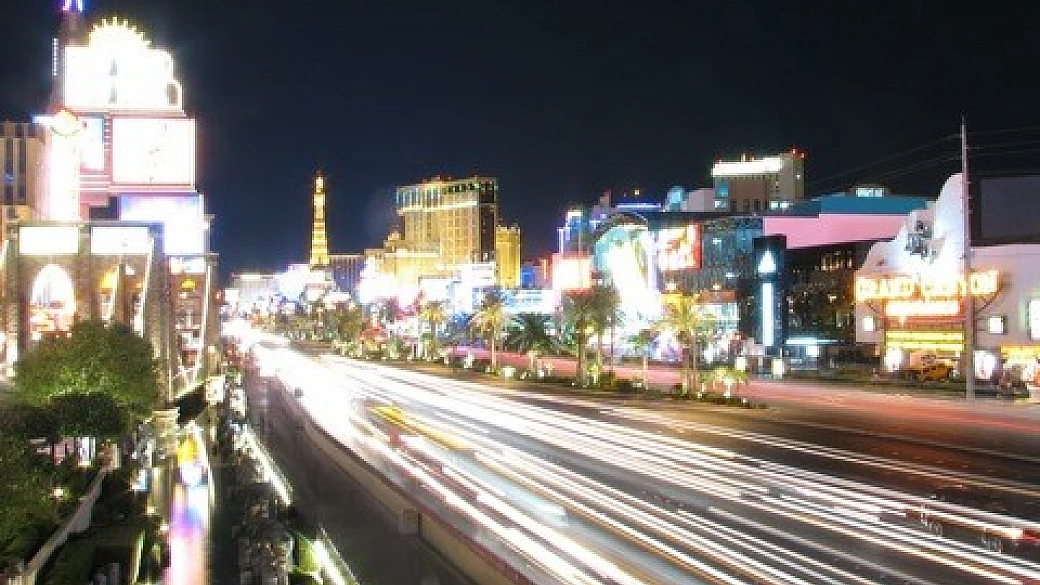 i bisonti della strada in west u.s.a