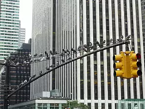 piccioni in attesa del semaforo verde