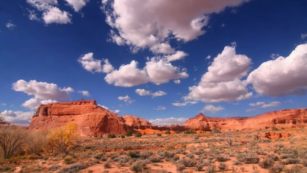 stati uniti d'america