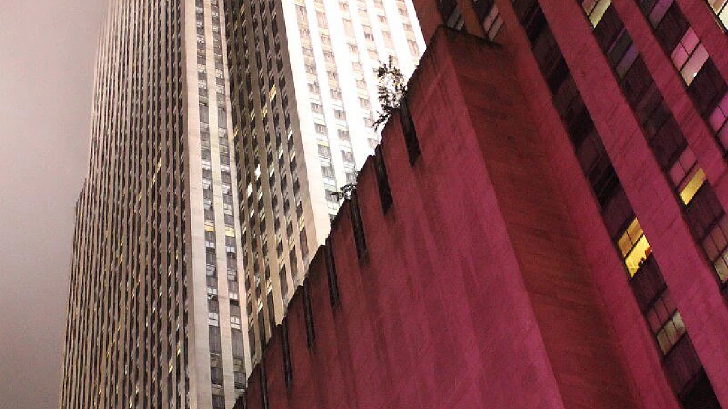 i love new york city