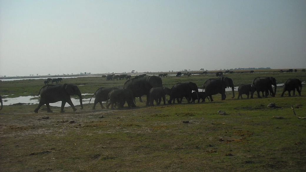 la natura ed il sociale sudafricani