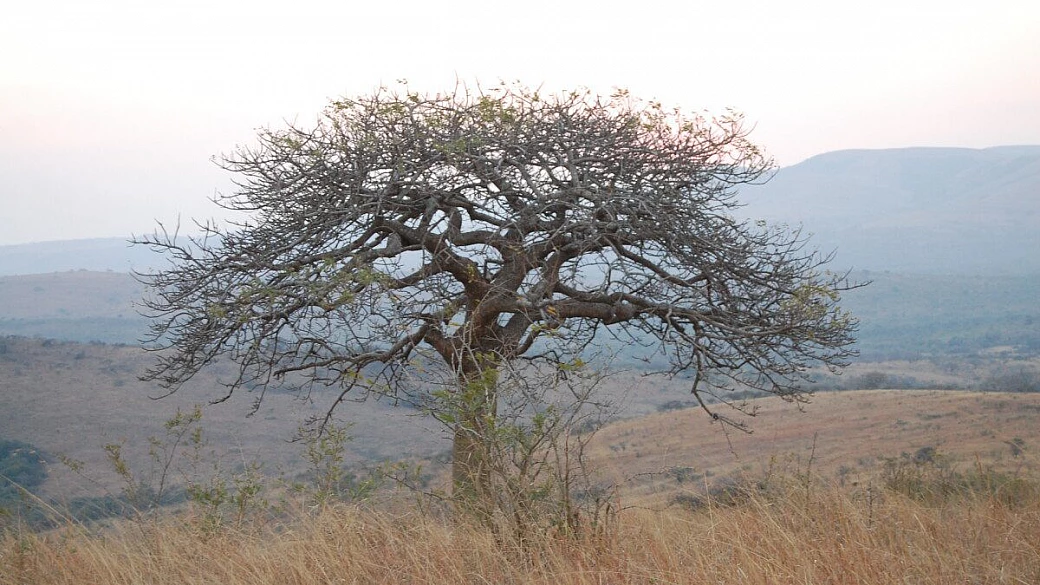 un viaggio che ci rimarrà nel cuore