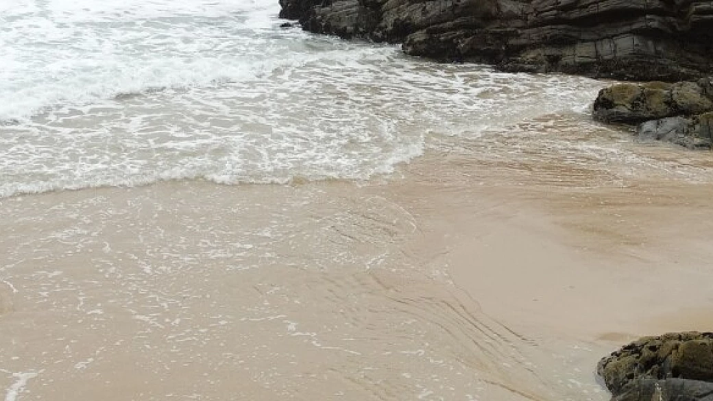 fly & drive nella natura del sudafrica