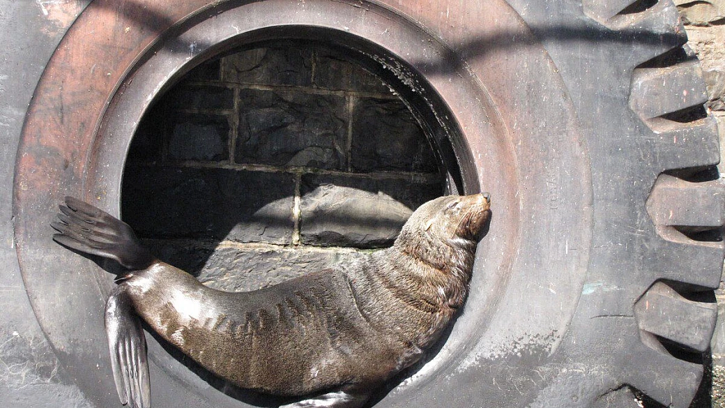 mosaico del sudafrica in 3500 chilometri di parte 3