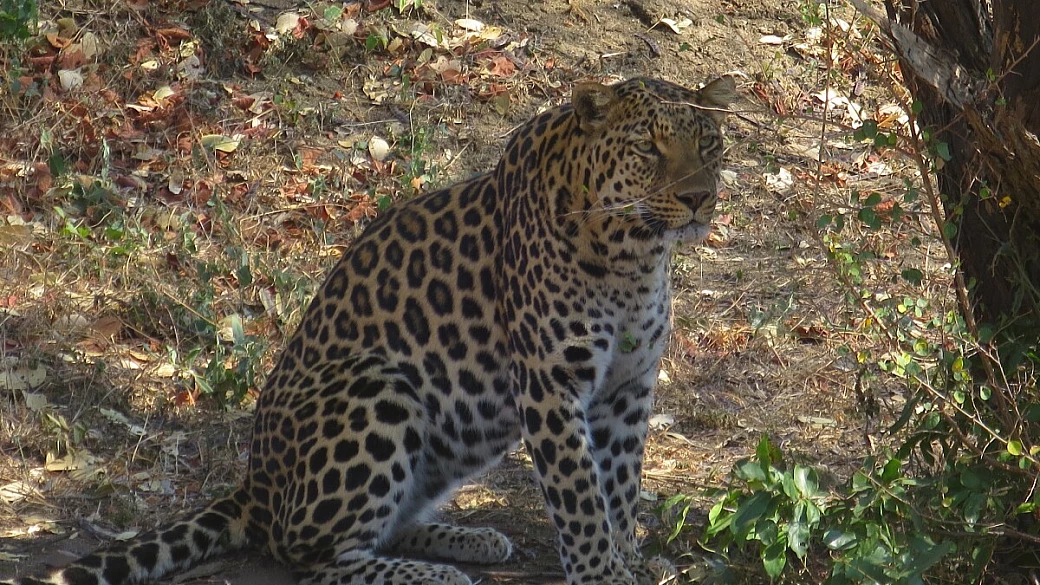 sudafrica e dubai: in viaggio tra estate e inverno