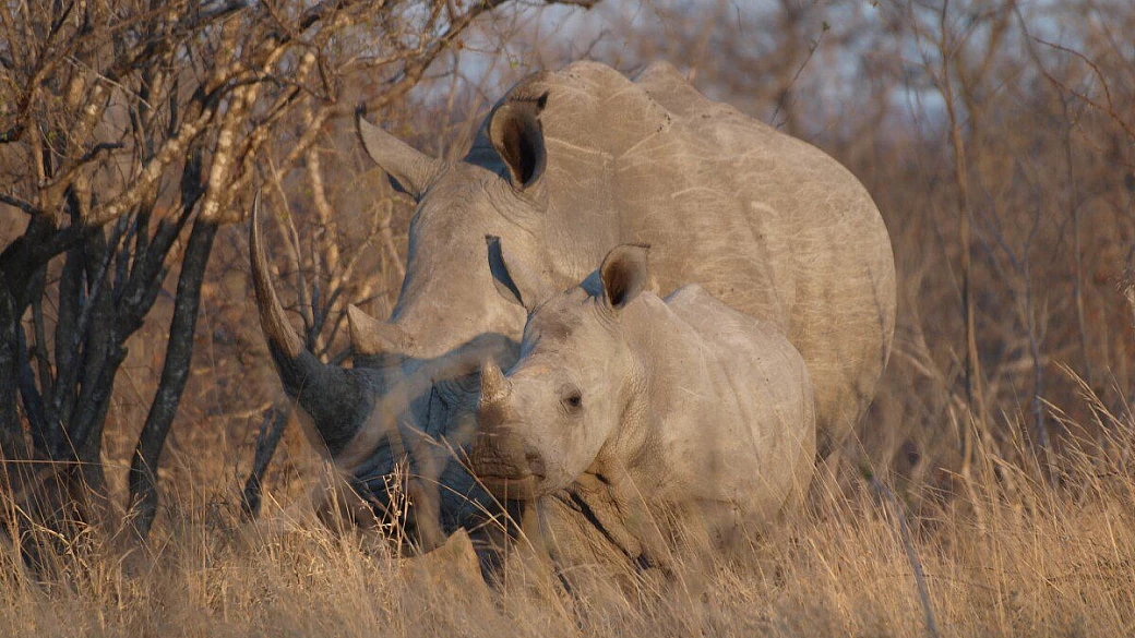 sudafrica on the road 4