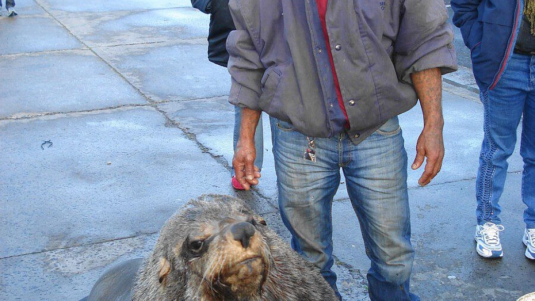 tour sudafrica: emozioni in primo piano