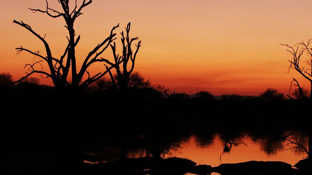 fly and drive fai da te in sud africa