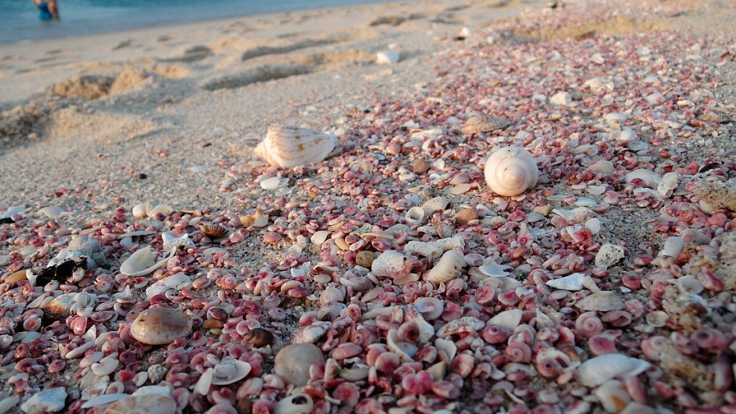 oman: a zonzo nel sultanato