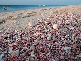 sultanate-of-muscat-and-oman-n9g7g