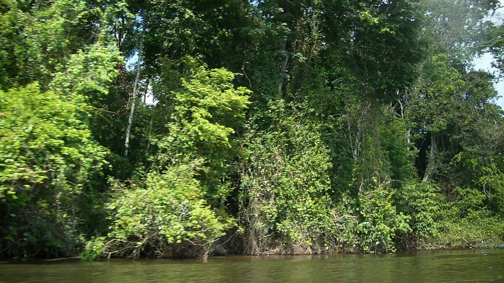 suriname questo sconosciuto.