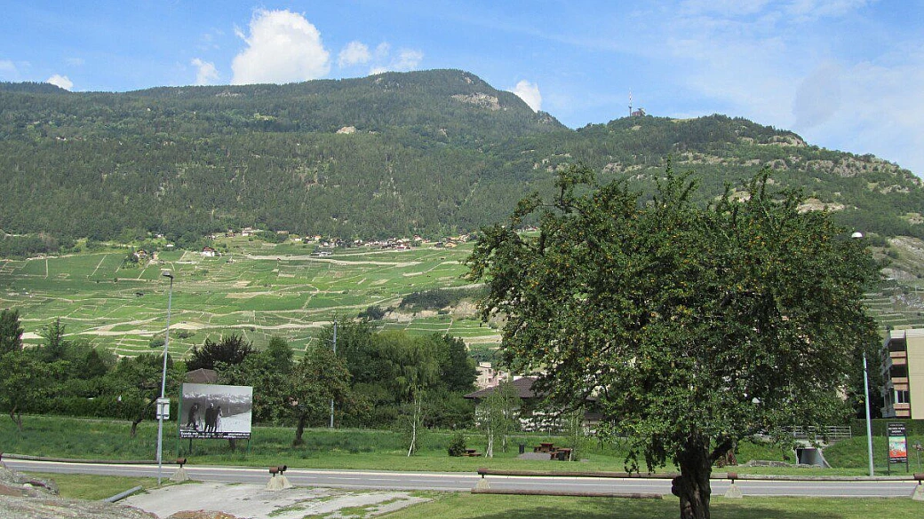 foresta nera in moto