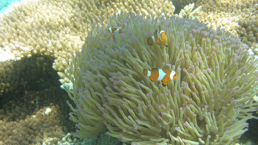 malaysia peninsulare